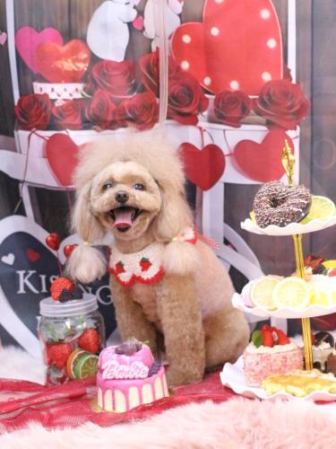 20250219麦ちゃん